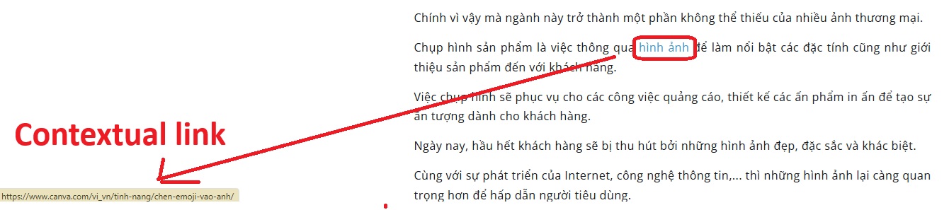 Minh họa vị trí Contextual Link