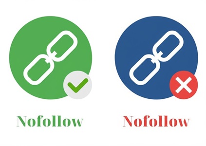 Hồ sơ backlink cân bằng